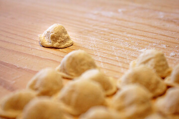 Homemade Southern Italian typical pasta 