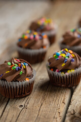 Tasty chocolate cupcakes with sprinkling on rustic wooden background. Sweet dessert. Bakery concept. Elegant food. Sweets for coffee or tea. Space for text.