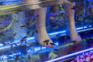 Feet in a fish pedicure tank in Prague