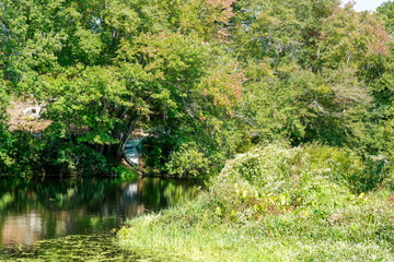 Boat docked in lush woods.