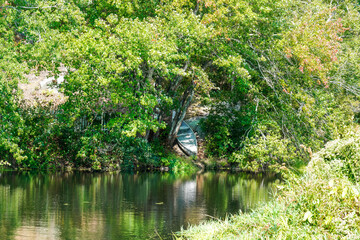 Boat peeks out from lush lakeshore.