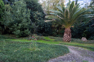 Obraz premium garden with flowers