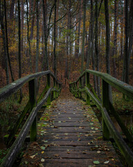 Mostek na Jeleniej Wyspie. © MaciasPhoto