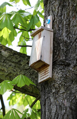 A flat for bats in the chestnut forest