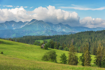 Fototapeta na wymiar summer in the Polish High Tatras with a tourist girl walking near the mountain lakes.