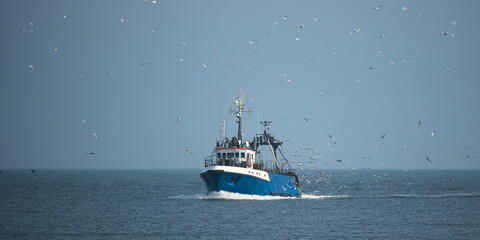 The fishing schooner returns with fish.