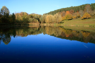 Fototapeta na wymiar Blick auf den Gültlinger See. Der Herbstwald spiegelt sich im See.
