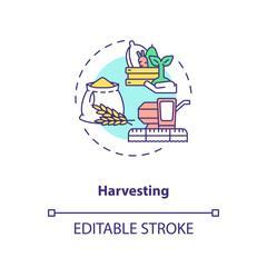Harvesting concept icon. Agriculture machines types. Gathering fully grown crops on farm fields idea thin line illustration. Vector isolated outline RGB color drawing. Editable stroke