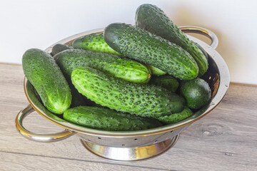 Fresh cucumbers in a colander over wooden background. Fresh produce from the Farmers Market.