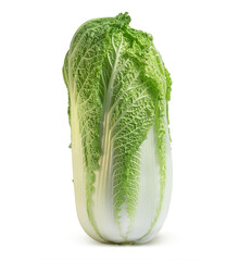 fresh and juicy chinese cabbage rich in vitamin C