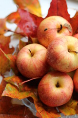 apples in a basket