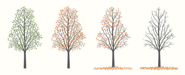 Tree with green red and yellow leaves in four versions