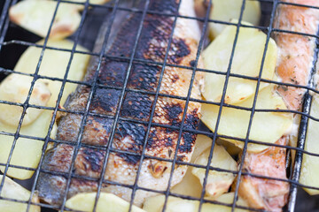 Fried sea bass with potatoes on a close-up grill