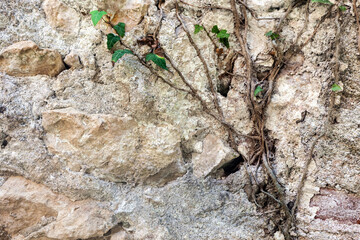 The wall of the fortress is made of old light stone, used as a background or texture