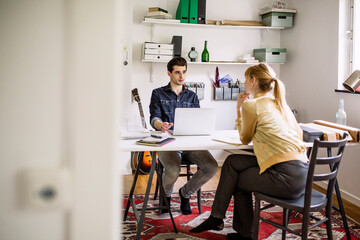 Two colleagues working in home office