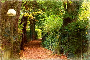 Idyllic footpath with deciduous trees on the side