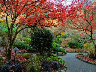 Autumn park with bright fall colors