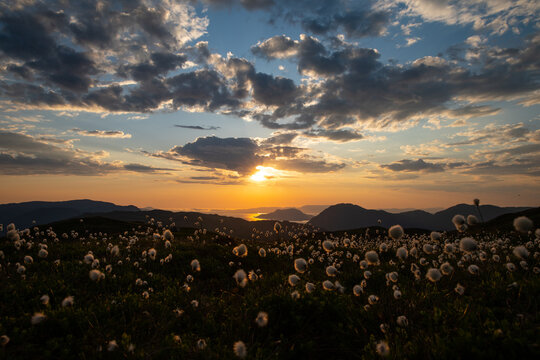 Sunset Moutains And Fjord