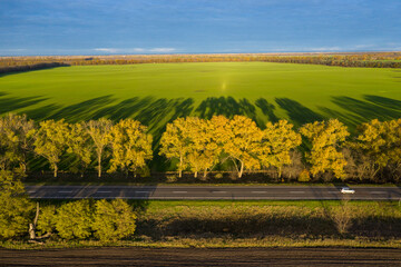 Fototapeta premium Autumn landscape with road and beautiful colored trees and shadows aerial view.