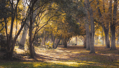 Naklejka premium Bosque