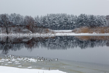 frozen river in winter