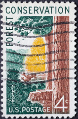 USA - Circa 1958 : a postage stamp printed in the US showing a scene in the forest with tree trunks, pine trees and deer. Text: Forest Conservation
