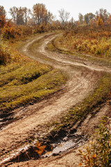 Naklejka premium dirt road in the meadow on an autumn sunny day