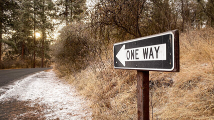 One Way Sign on Forest Road