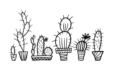 Succulent cactus flower pot vector print for shirt