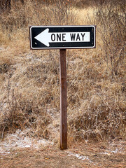 One Way Sign in Forest