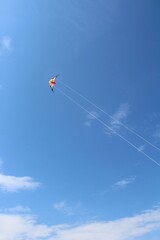 bright kite in the sky