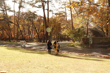 walk in the park