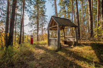 old wooden gazebo on the edge of a pine forest on a sunny autumn day