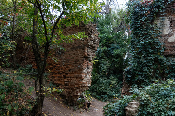 Old overgrown red brick ruins in autumn