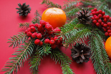 The spirit of Christmas, nature decorations: fir branches, cones, bright red Rowan berries and tangerines on a red background