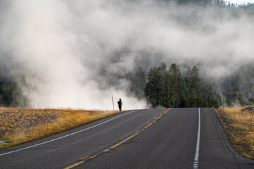 Steam rises from hot springs in Yellowstone National Park in the early morning hours in autumn, as a photographer (unrecognizable) takes photos near road