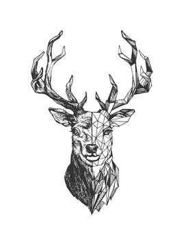 Engraving deer in polygonal style