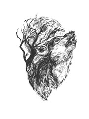 Wild wolf howling engraved portrait