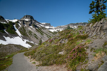Trail in the Heather Meadows area of Mt. Baker National Recreation Area of Washington State