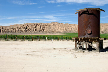 Vineyard in the Cuyama Valley, CA_1 - 392103434