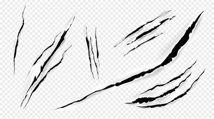 Cat marks, claws scratches isolated vector pets or wild animal nails rip, tiger or bear paws sherds on transparent background. Lion, monster or beast break, , realistic 3d traces on paper texture set