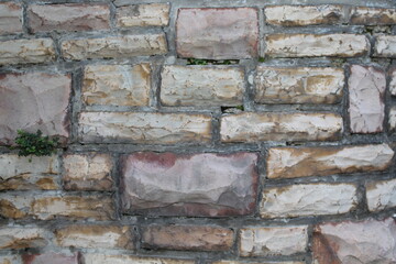 Natursteinmauer