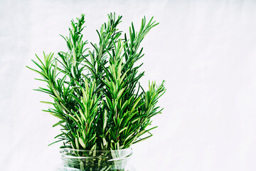 Organic rosemary branches in the glass jar