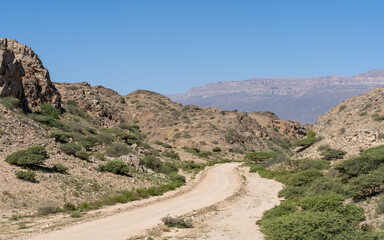 road in the desert of Arabia