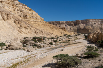Canyon with oasis in the desert of Oman 