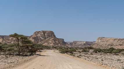 Canyon with oasis in the desert of Oman 