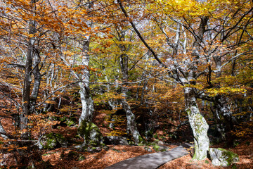 Ciñera de Gordón, Leon, Spain