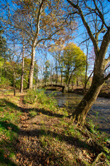 Fototapeta premium A Wooden Bridge Going Over a Small Stream on a Clear Autumn Day