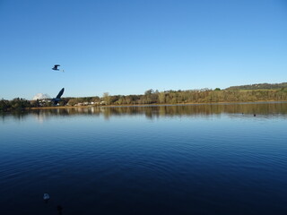 fishing in the lake
