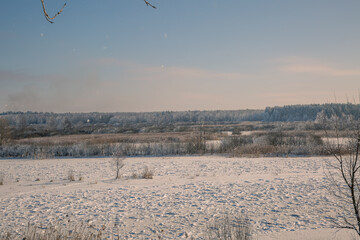 landscape with snow covered trees